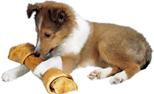 How to choose the right rawhide chew